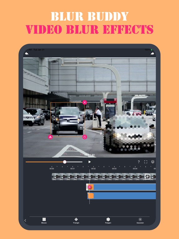 Screenshot #4 pour Blur Frame: Video Edit