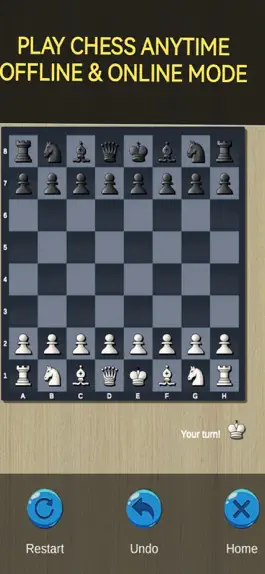 Game screenshot Chess Game: Masters of Mind apk