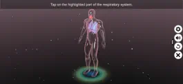 Game screenshot Human Respiratory System apk