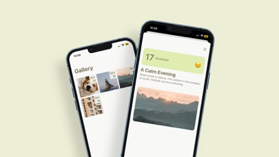 Serenity Journal - Daily Diary Screenshot