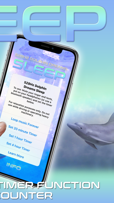 528Hz Dolphin Dreams Sleep Screenshot