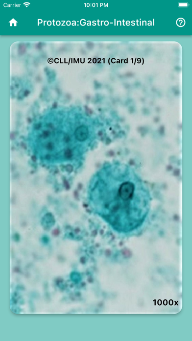 Parasitology Flashcard Screenshot