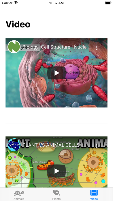 Cell Structure Screenshot
