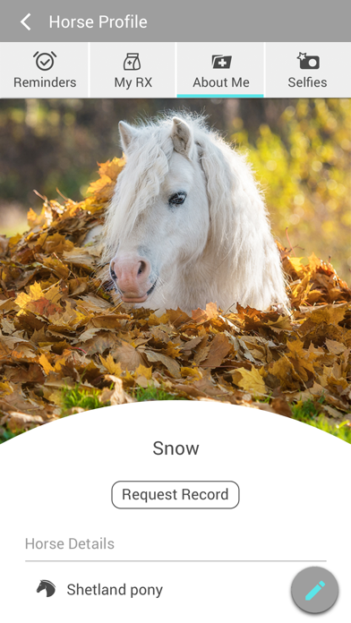Equine Medicine and Surgery Screenshot