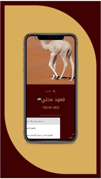 الخروف الطازج Screenshot