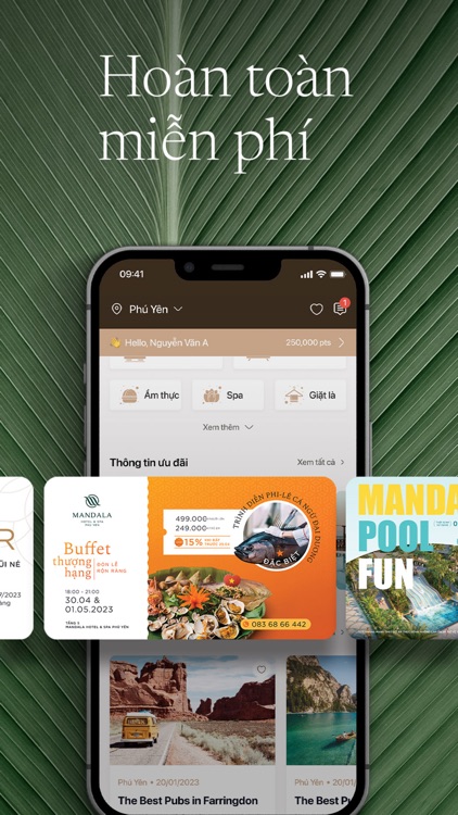Mandala Digital screenshot-5