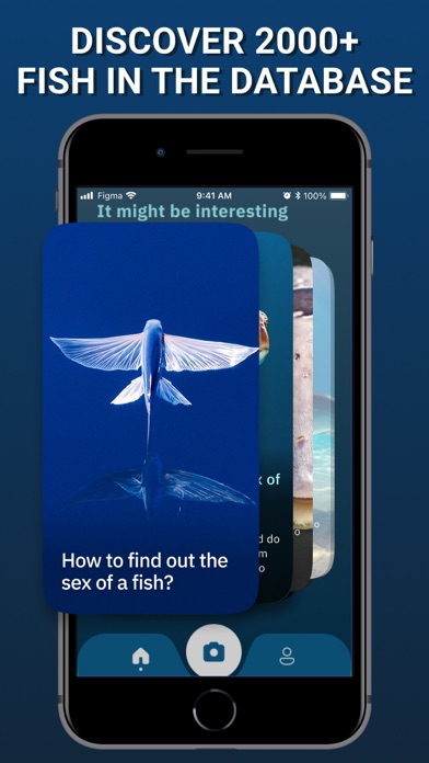 Fish Finder & Identifier App Screenshot