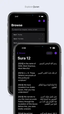 Game screenshot QuranicLabs apk