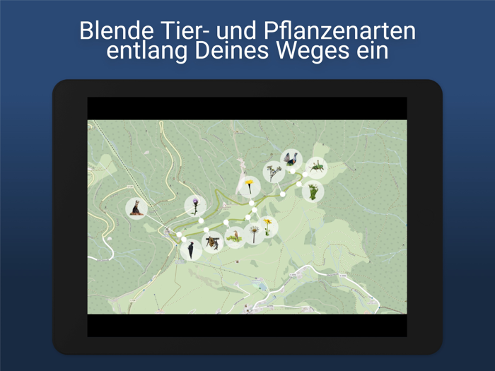 Schauinsland Barrierefrei