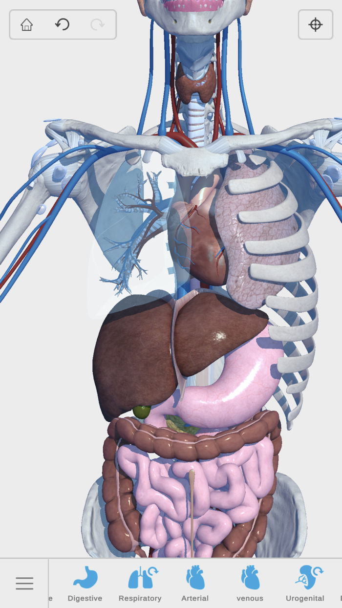 Visual Anatomy 3D - Human