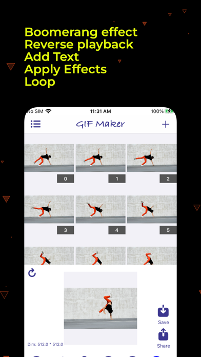 mp4 to gif, video to gif makerのおすすめ画像1