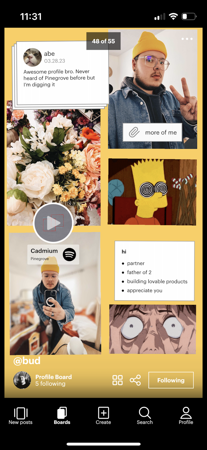 Cactus - Collage maker