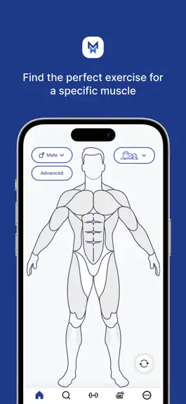 Game screenshot MuscleWiki: Workout & Fitness mod apk