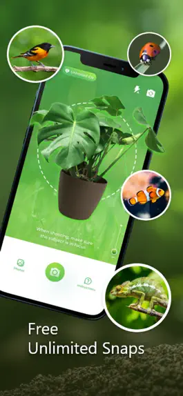 Game screenshot Plant Identification - PlantAD mod apk