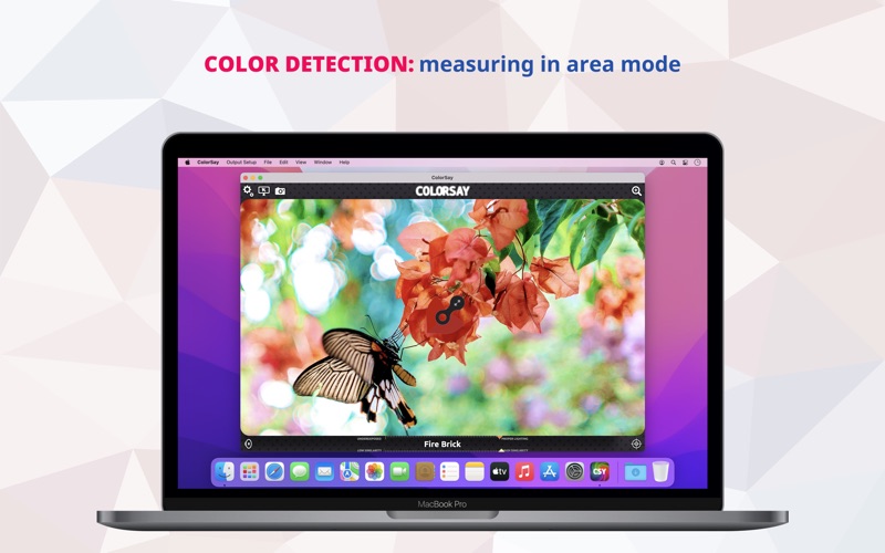 How to cancel & delete colorsay m • color scanner 4