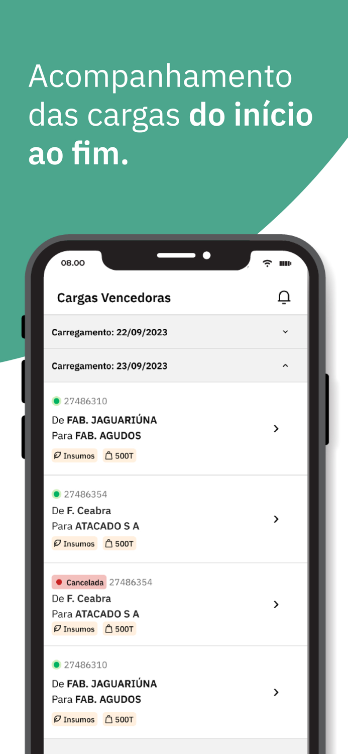 Smart Cargas Preview