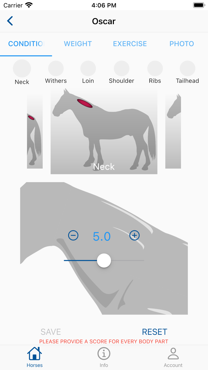 Equine Body Condition Scoring