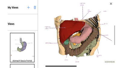 Dornheim Real Anatomy Screenshot