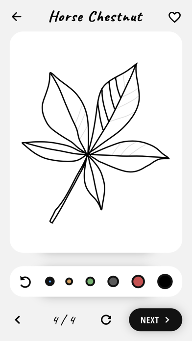 How to draw flowers tutorials Screenshot
