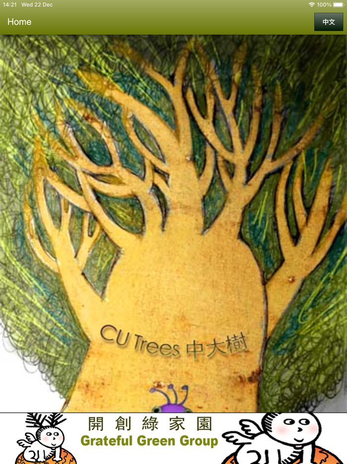 中大樹  Trees of CUHK