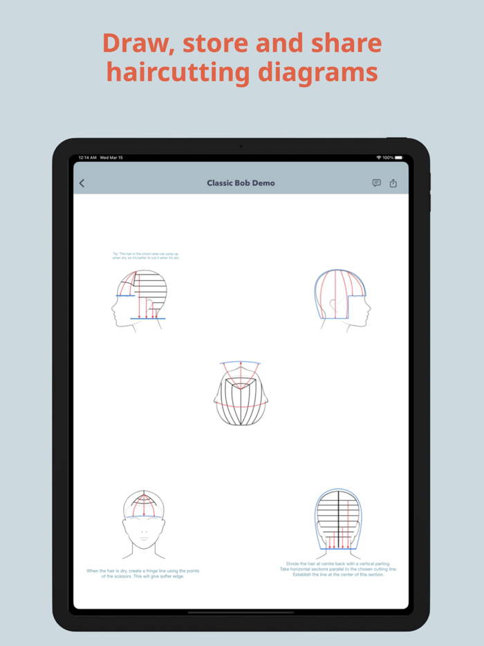 HairTech-Head Sheets