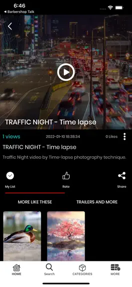 Game screenshot VidStream apk