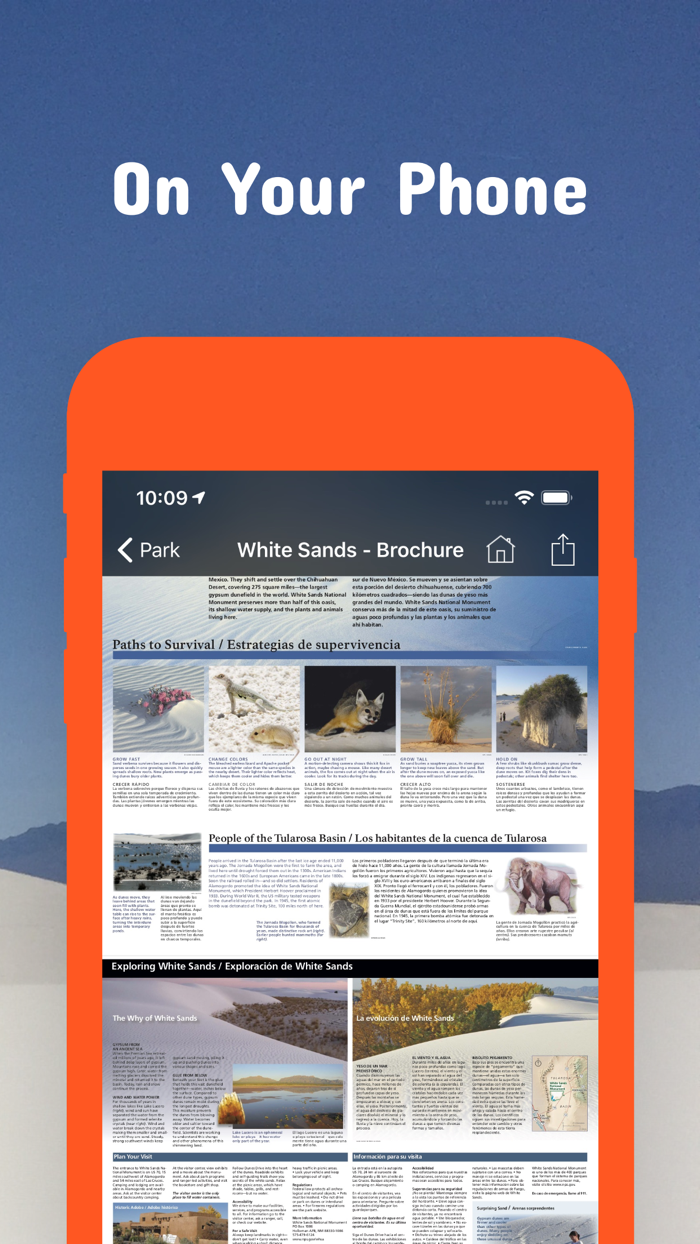 New Mexico Pocket Maps