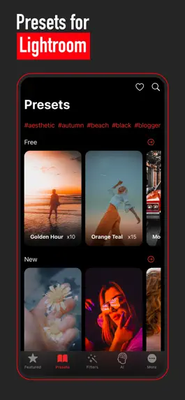 Game screenshot Presets for Lightroom - Filtre apk