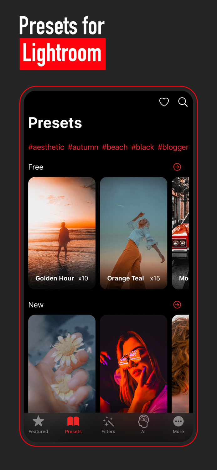Presets for Lightroom - Filtre