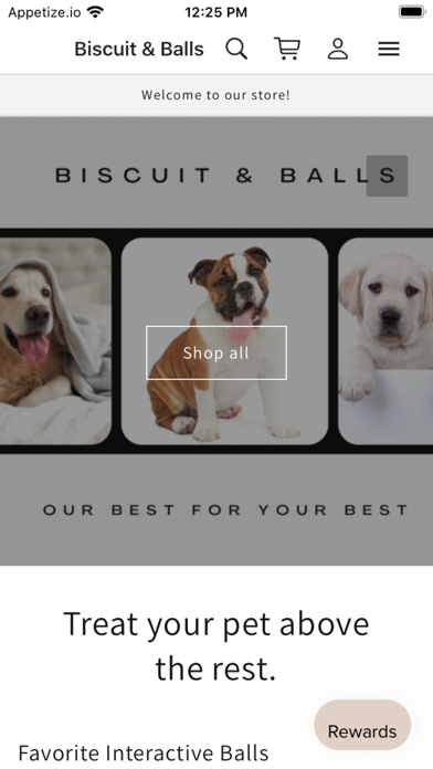 Biscuit & Balls Screenshot