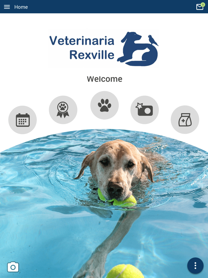 Veterinaria Rexville