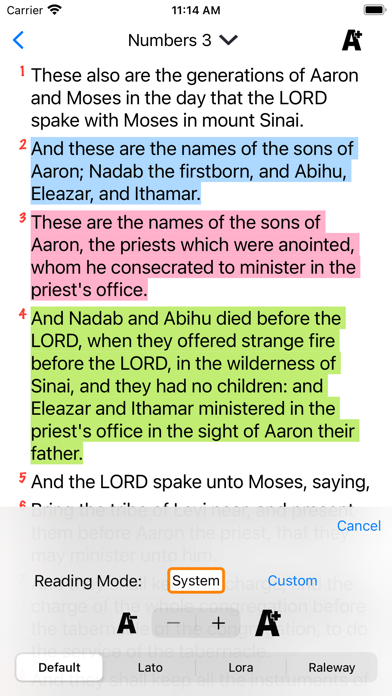 HolyBible K.J.V. Pro Screenshot