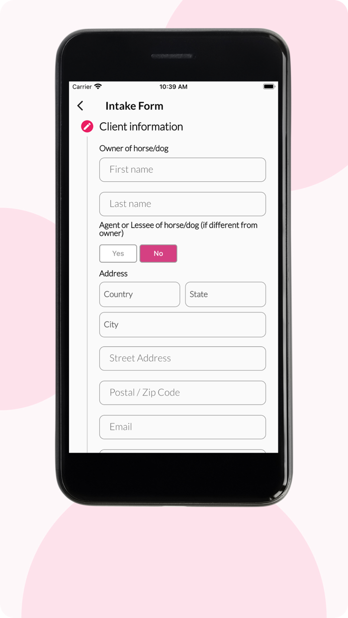 Inhand Equine Therapy