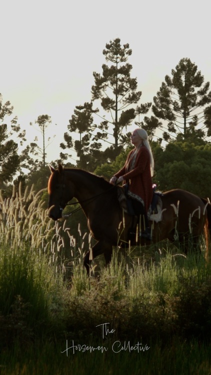 The Horsemen Collective screenshot-7