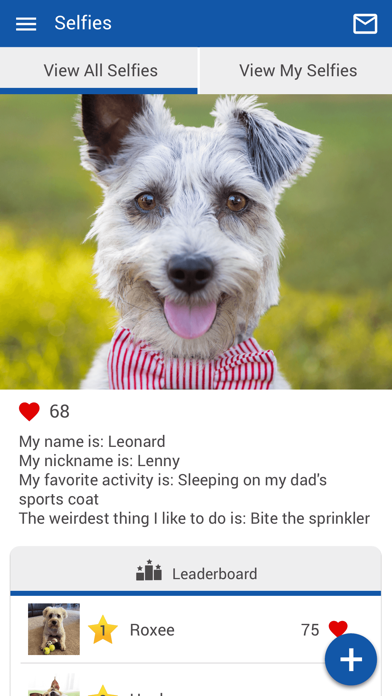 Maricamp Animal Hospital iPhone screenshot 4 - Business app