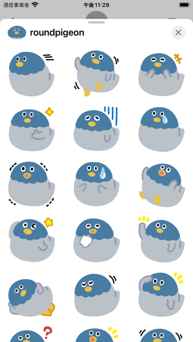 round pigeon Screenshot