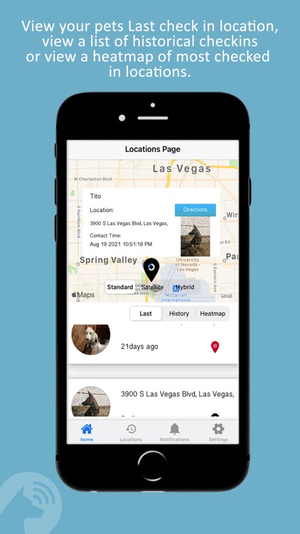 Sabit Pet E-Tag by Rubit!