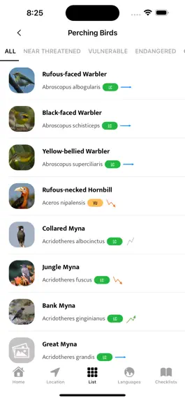 Game screenshot Indian Birds hack