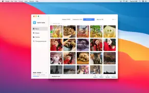 honorsuite айфон картинки 4
