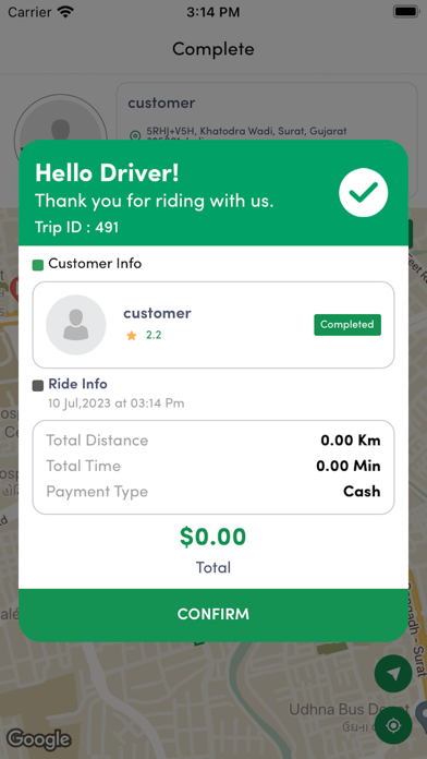 Drive Driver. Screenshot
