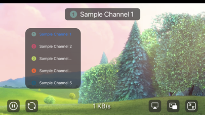 Live TV Player Screenshot