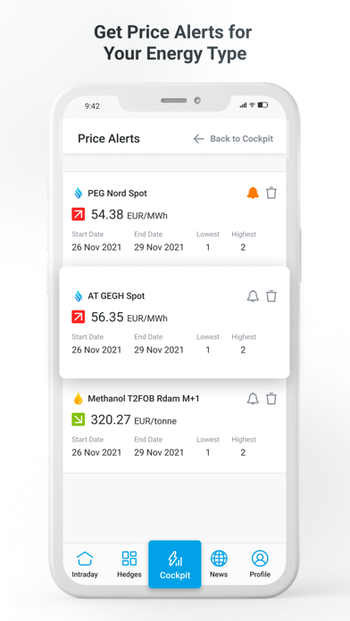 Energy Market Online Screenshot