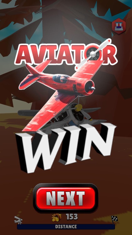 Aviator Skyline screenshot-7