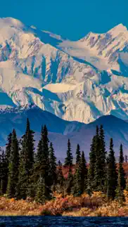 alaska wallpapers problems & solutions and troubleshooting guide - 3