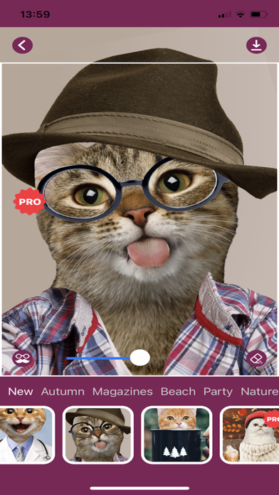 Cat Photo Editor! Screenshot