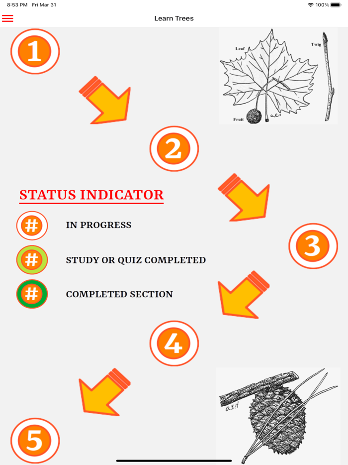 Guess Trees From Leaves