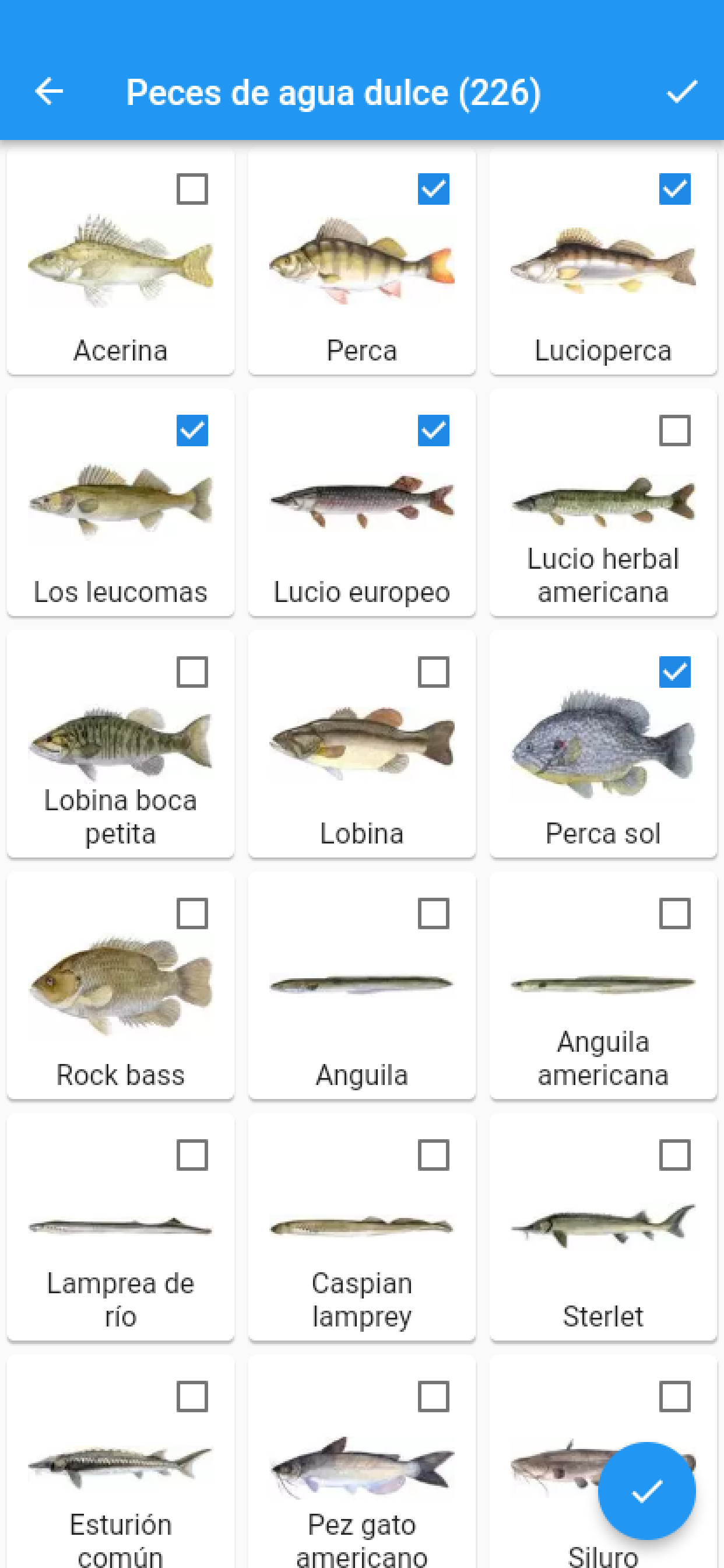 Relojes Para Los Pescadores