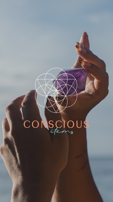 Conscious Items Screenshot