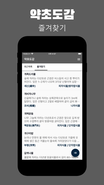 약초도감 - 약용식물 효능 & 복용법