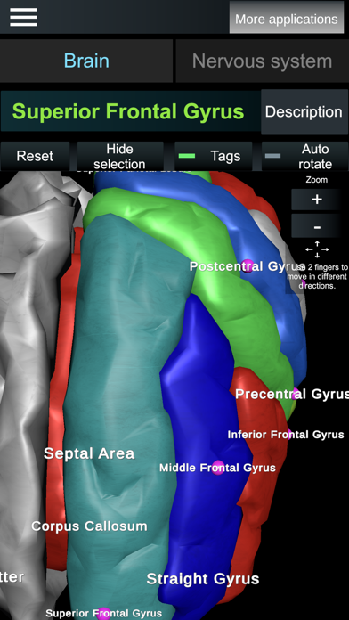 Brain and nerves (Anatomy) Screenshot